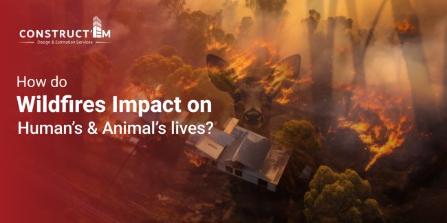 How do Wildfires Impact on Humans’ and Animals lives How do Wildfires Impact on Humans' and Animals lives