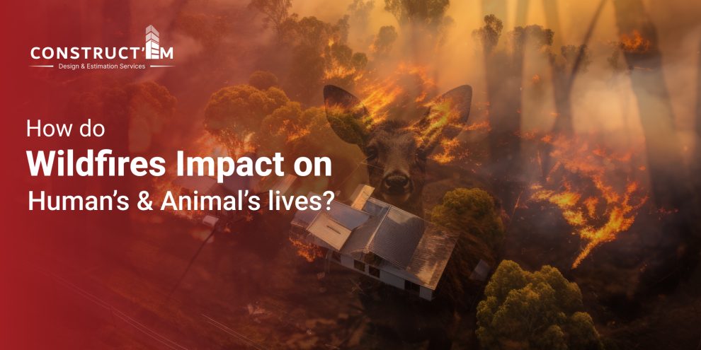 How do Wildfires Impact on Humans' and Animals lives